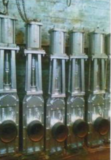 Branch Isolation Valve